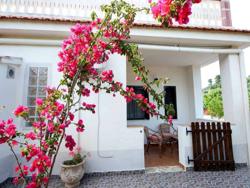 B&B La Formichina Peschici Extérieur photo